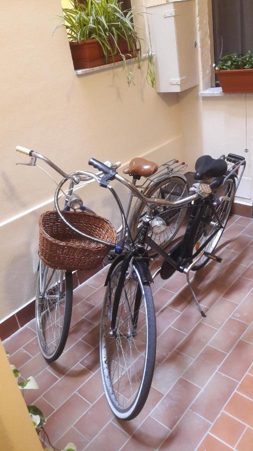 Giardino Segreto - History And Design Apartment Bologna Ngoại thất bức ảnh